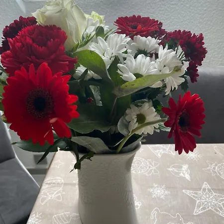 Апартаменты Haus Ursula *