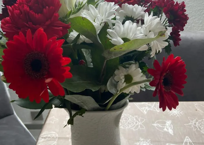 Apartament Haus Ursula *